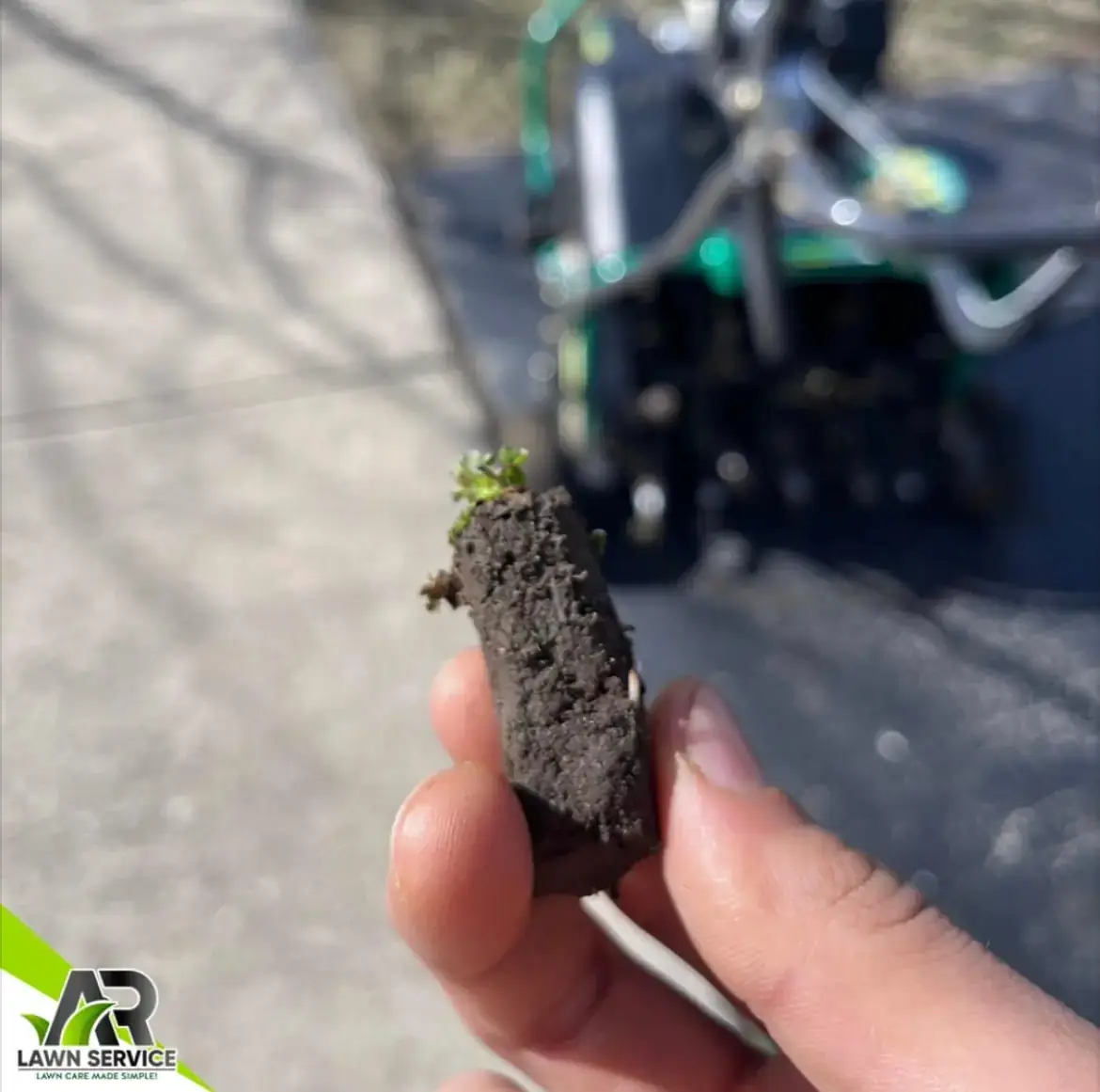 A soil plug removed during lawn aeration