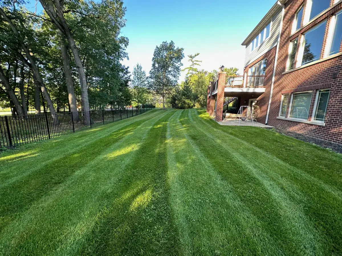 A maintained lawn photographed during an A.R Lawn Service property visit