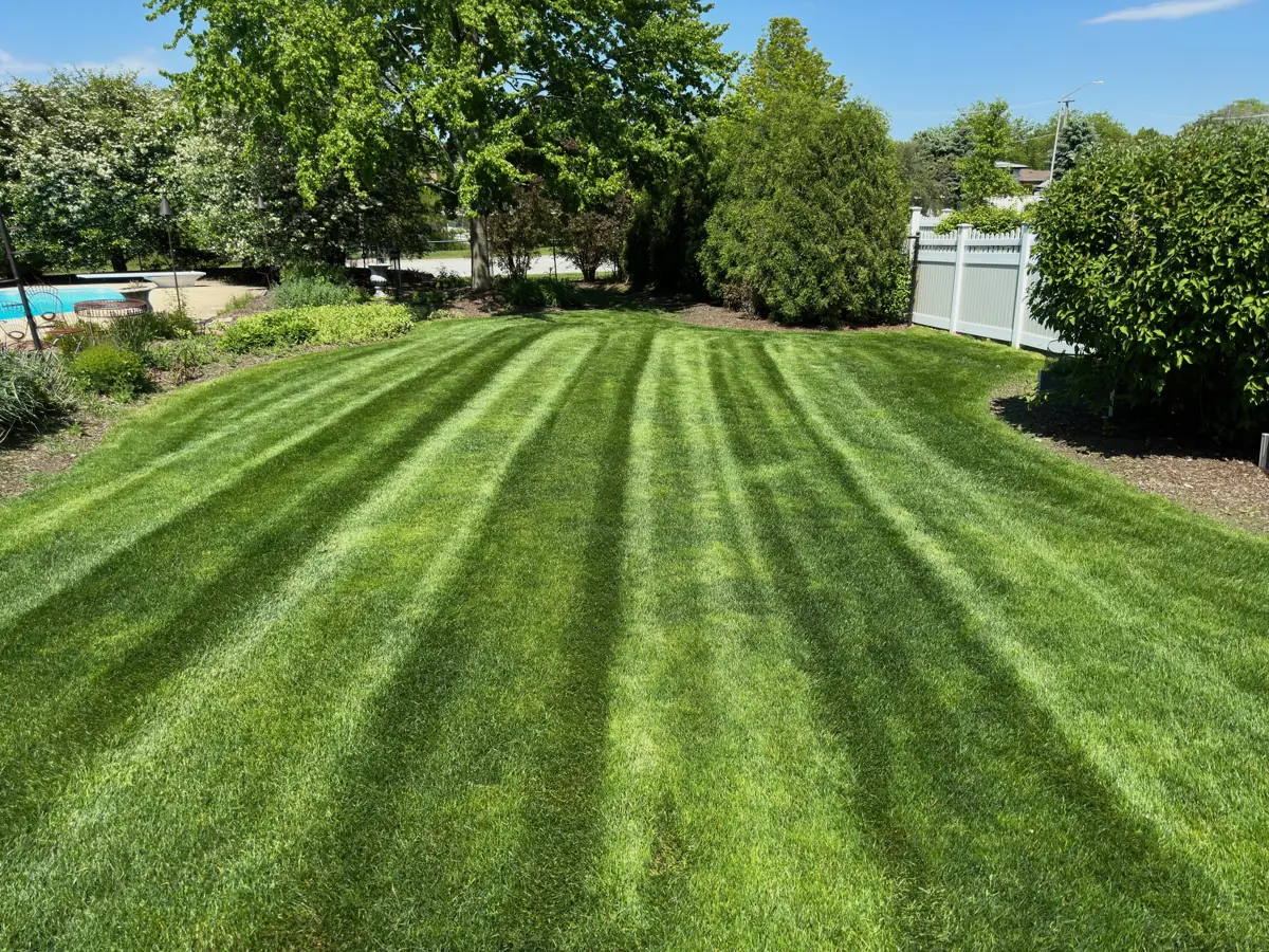 Mowing stripes on a lawn maintained by A.R Lawn Service