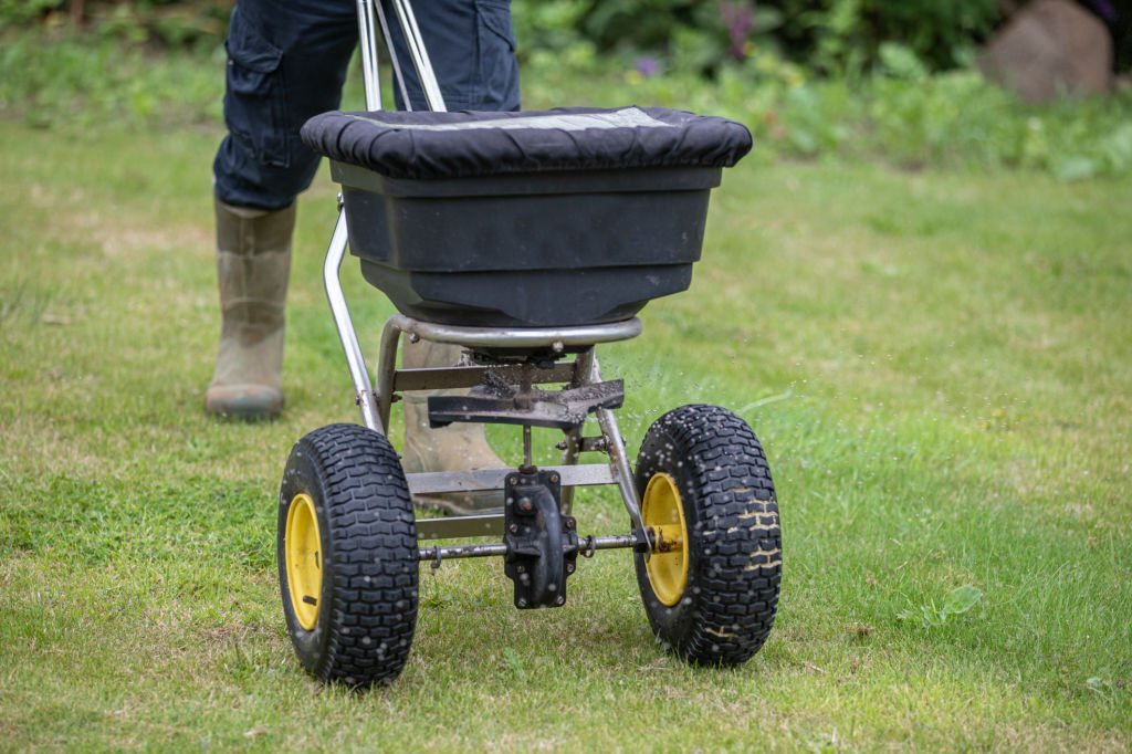 Use fertilizer correctly to encourage robust plant growth