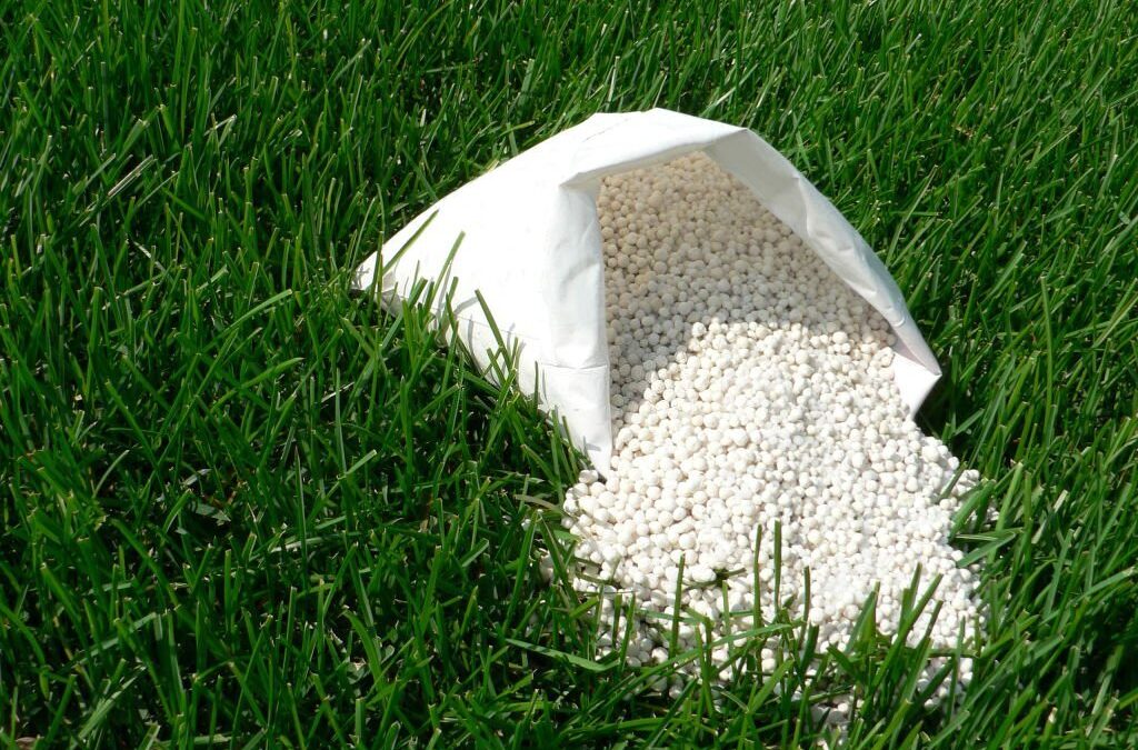 Slow-Release vs. Quick-Release Fertilizers: Finding the Right Balance for Illinois Lawns