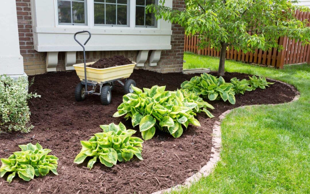 Enhancing Energy Efficiency through Thoughtful Landscaping