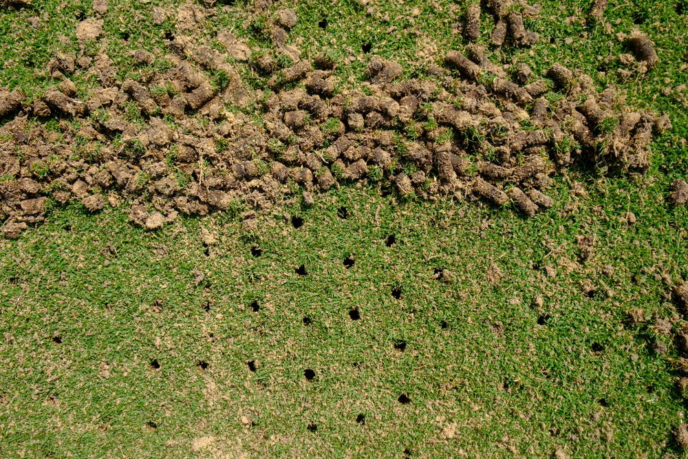 Understanding the Relationship Between Aeration and Soil Fertility