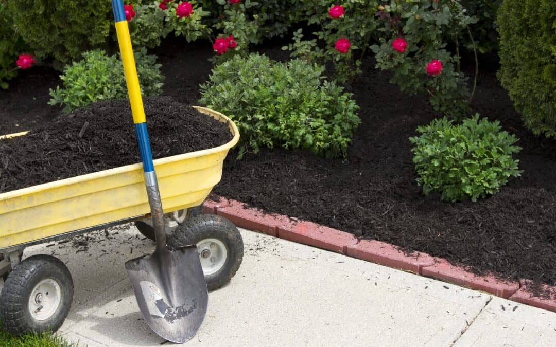 Fall Mulching: The Key to a Healthy Winter Landscape