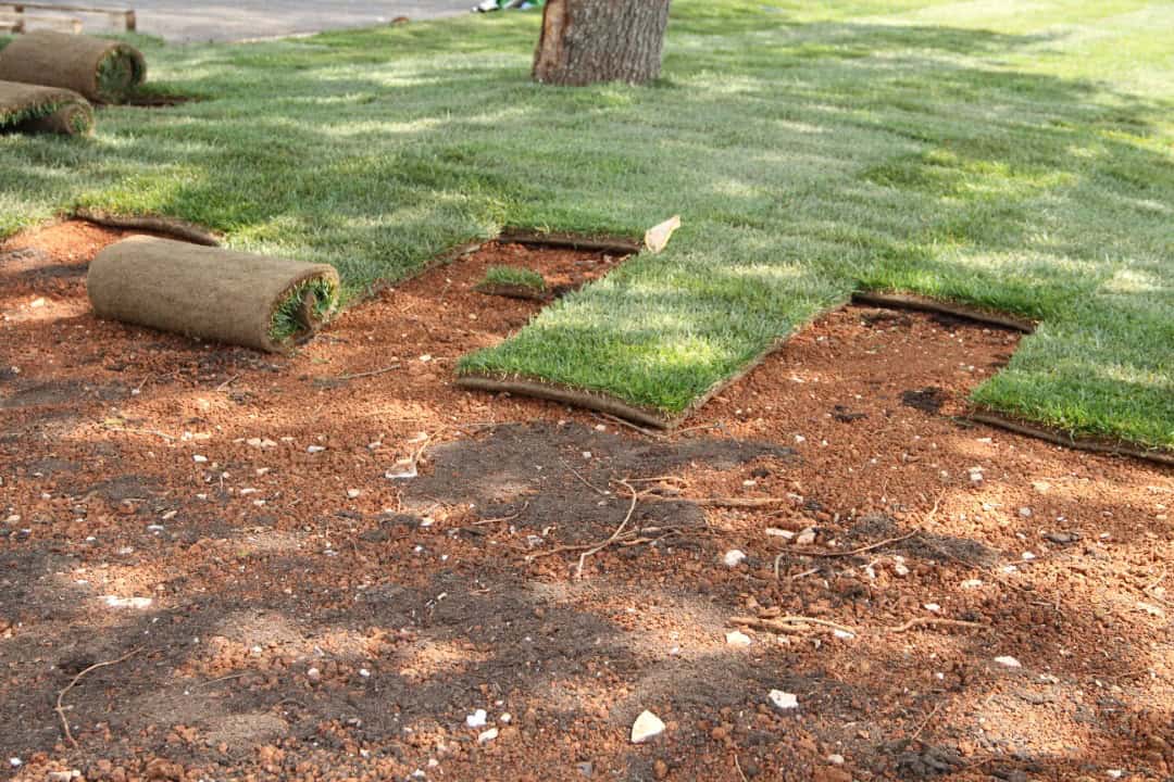 Quality sod installation services in Oak Lawn, Orland Park, Evergreen Park, and surrounding areas<br />
