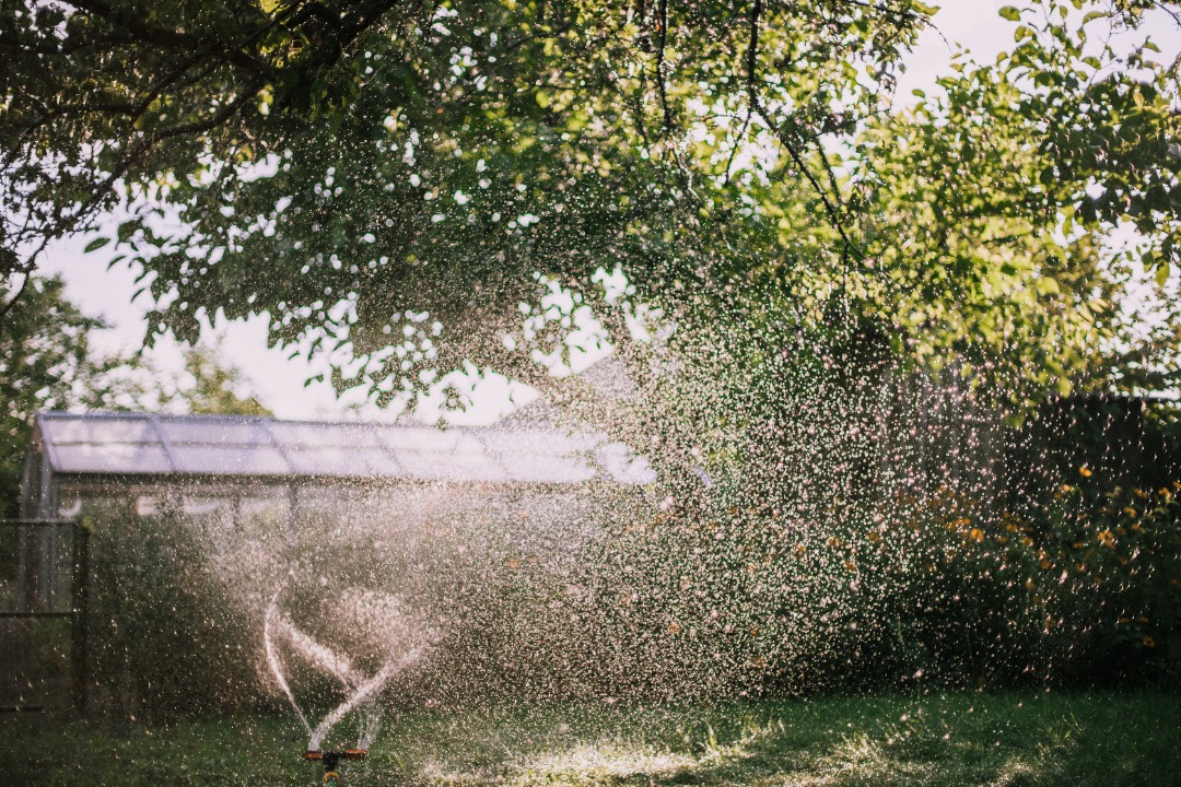 Garden sprinkler spraying water in a fine mist under the shade of trees, with a greenhouse visible in the background.