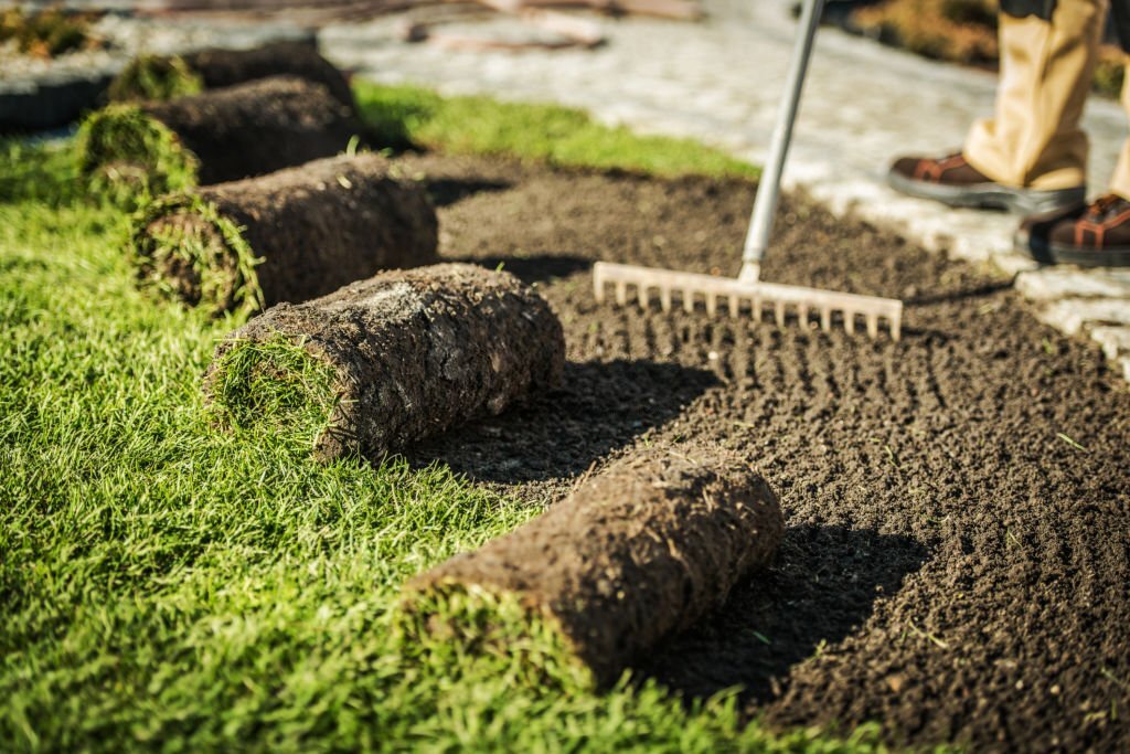 Fresh sod being installed.